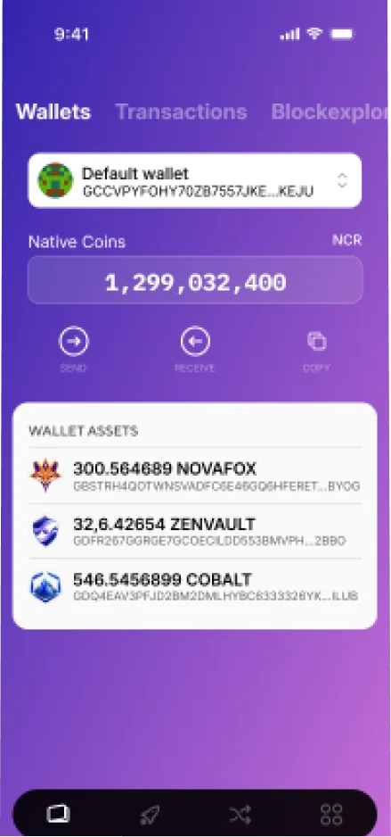 Multi-asset wallet on mobile